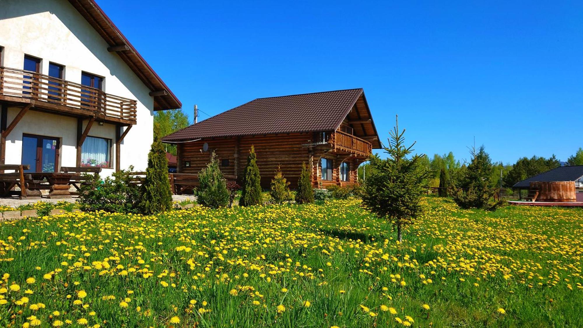 Pensiunea Lacul Mocearu Hotel Budesti  Exterior photo